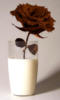 Схема вышивки «Роза в молоке»