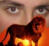 Схема вышивки «Взгляд льва»