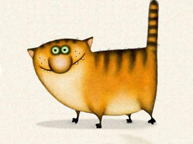 Кошак, 