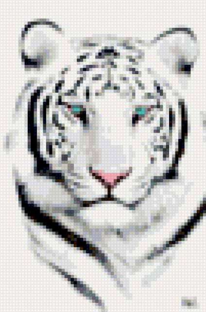 Белый тигр, кошки, тигр