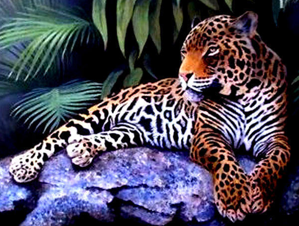 Леопард, животные
