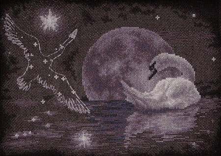 Лунный лебедь, птицы
