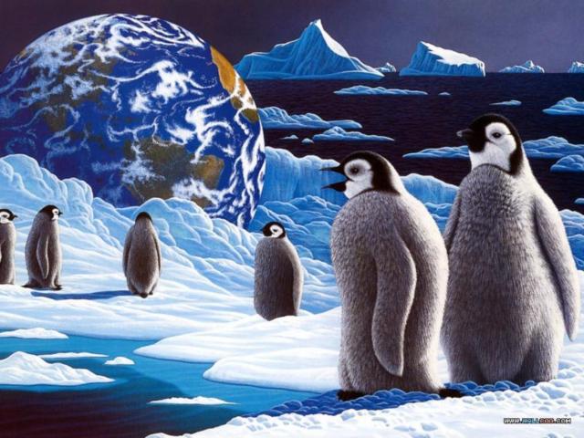 Планета животных8, животные, пингвины