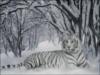 Схема вышивки «Тигр ра снегу»