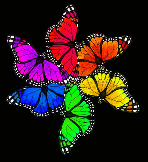 Бабочки, бабочки, животные, радуга