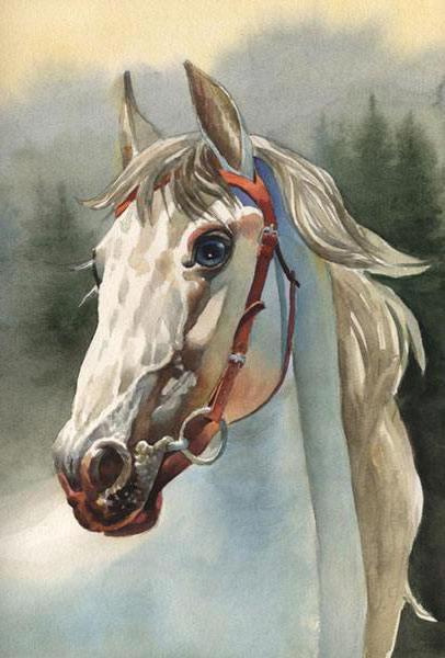 Невеста, рисунок, лошадь