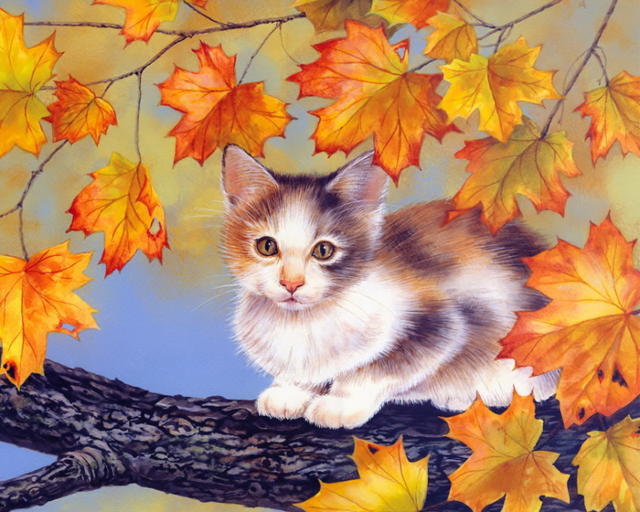 На дереве, кошка, животные, осень