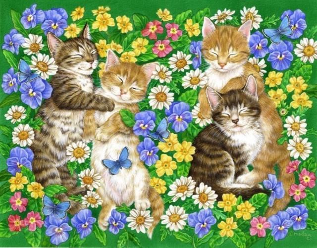 Цветочно-пушистая поляна, котята, животные