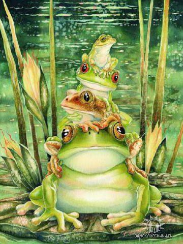 Top Frog, 