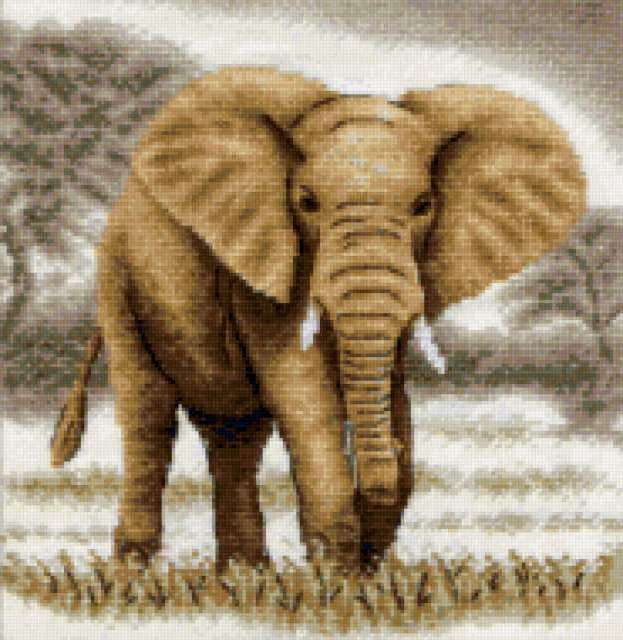 Слон, слон