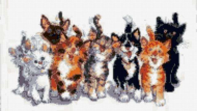 Веселые кошки, животные