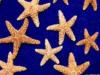 Схема вышивки «Звезды»
