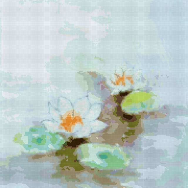 Лилии, цветы