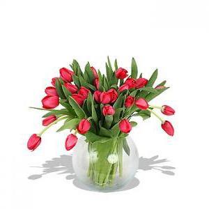 Тюльпаны в вазе, цветы