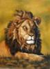 Схема вышивки «Лев- царь зверей»