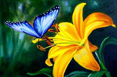 Цветок и бабочка, цветы