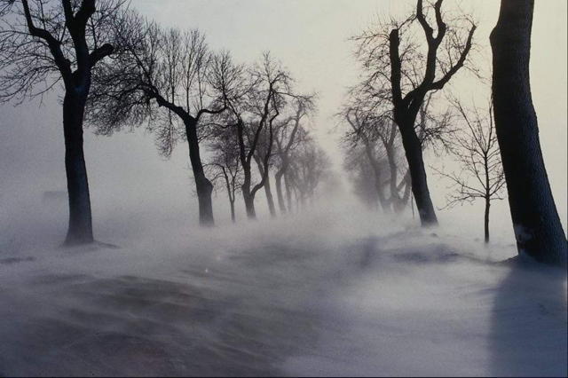 Зимняя дорога, природа