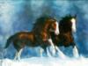 Схема вышивки «Лошади на снегу»