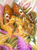 Схема вышивки «Бабочки-красавицы»
