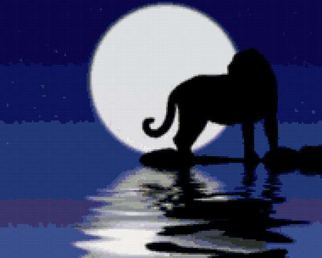 Leo, 