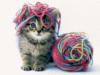 Схема вышивки «Забавный котя»