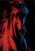 Схема вышивки «Огненная лошадь!!!»