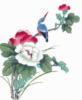 Схема вышивки «Цветы и птица»