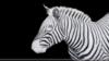 Схема вышивки «Zebras»