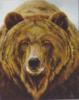 Схема вышивки «Медведь»