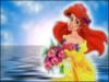 Схема вышивки «Ariel»
