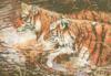 Схема вышивки «плывущие тигры»