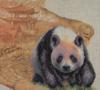 Схема вышивки «Панда в Китае»