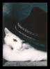 Кот в шляпе: оригинал