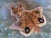 Схема вышивки «Сказочный лев-бабочка»