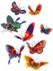 цветные бабочки: оригинал