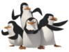 Схема вышивки «Пингвины Мадагаскара»
