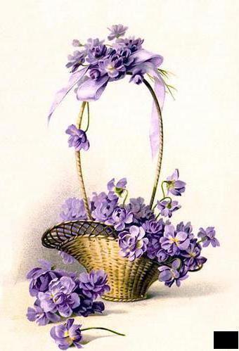 Букетик, флора