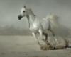 Схема вышивки «Белая лошадка»