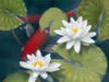 Схема вышивки «В цветущем пруду»