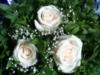 Схема вышивки «Свадебные розы»