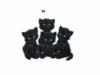 Схема вышивки «Шесть чёрненьких котят»
