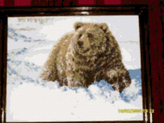 МИШКА, животные, медведи