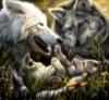 Волчье семейство: оригинал