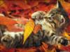Схема вышивки «Котёнок в листьях»