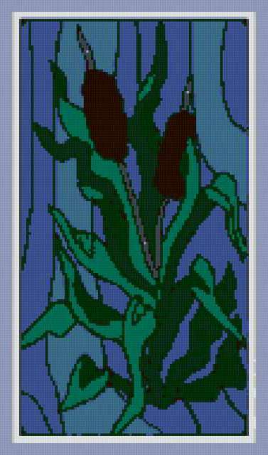 Рогоз, растение, флора