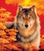 Схема вышивки «Красивый волк»