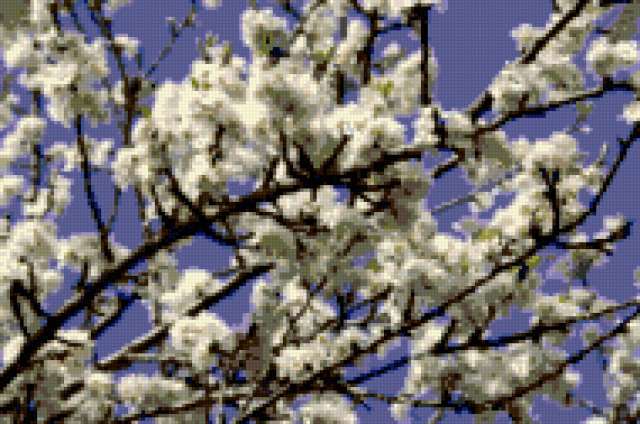 Весеннее настроение, весна, цветы, природа