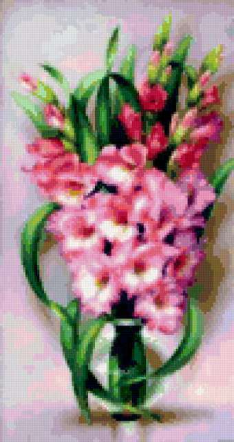Gladiolusi, cveti