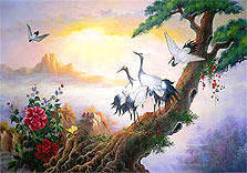 Аисты, япония, китай, птицы, пейзаж