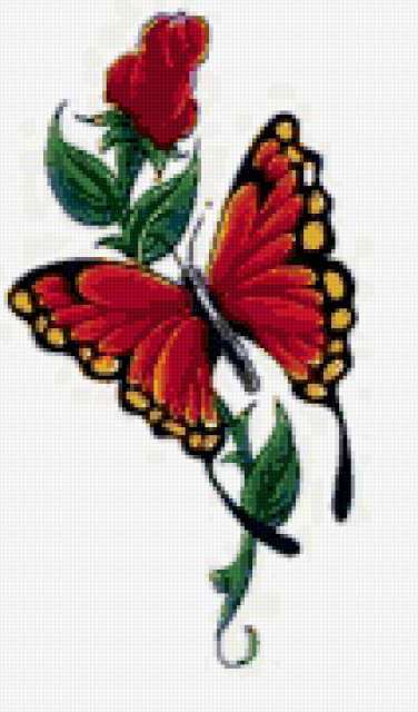 Тату, цветы, бабочка, тату